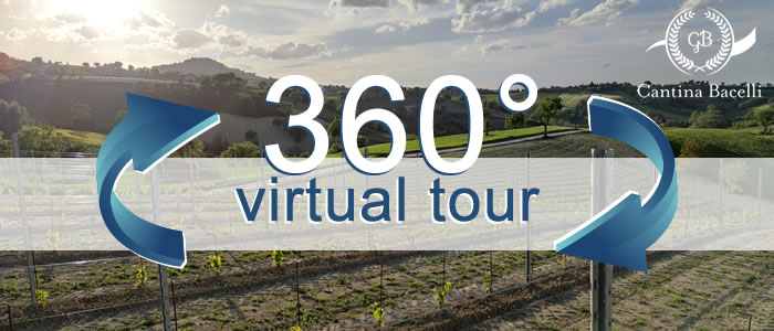 Click per visualizzare il Virtual Tour di Cantina Bacelli