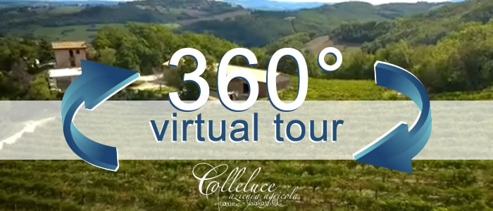 Click per visualizzare il Virtual Tour di Colleluce Azienda Agricola